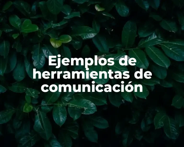 Ejemplos de herramientas de comunicación