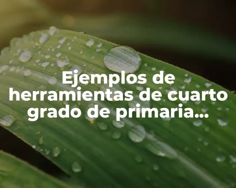 Ejemplos de herramientas de cuarto grado de primaria tercer bloque