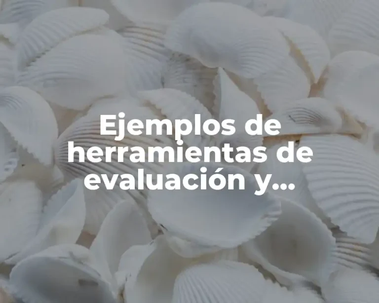 Ejemplos de herramientas de evaluación y Significado