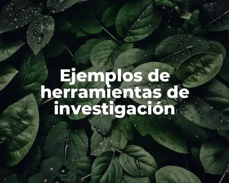 Ejemplos de herramientas de investigación