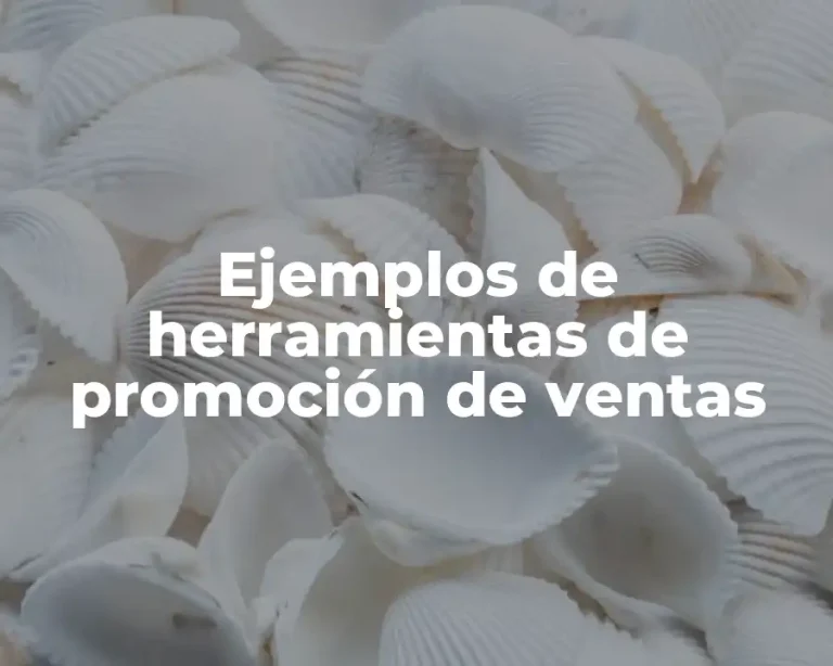 Ejemplos de herramientas de promoción de ventas