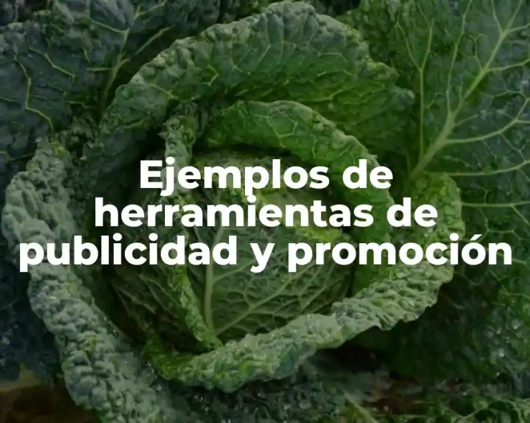 Ejemplos de herramientas de publicidad y promoción