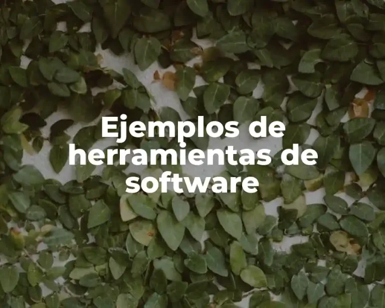 Ejemplos de herramientas de software