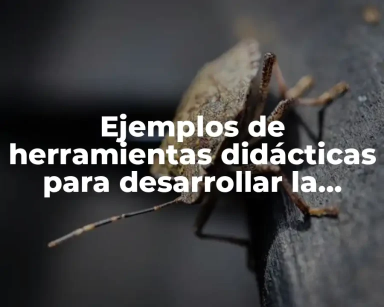 Ejemplos de herramientas didácticas para desarrollar la comprensión oral