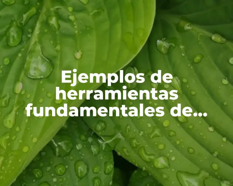 Ejemplos de herramientas fundamentales de matemáticas para alumnos de