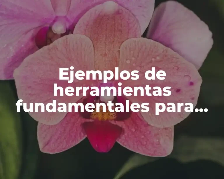 Ejemplos de herramientas fundamentales para tercer grado de primaria