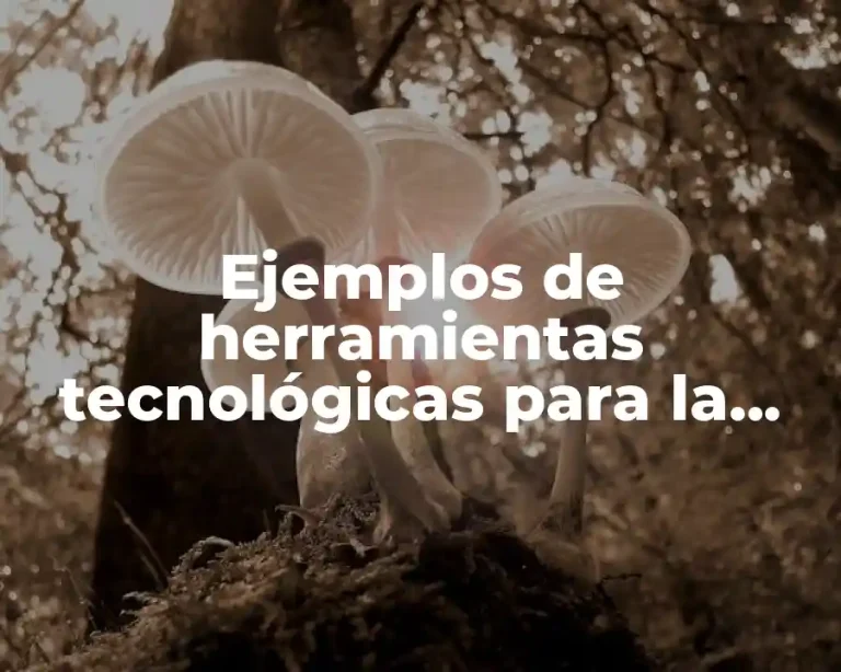 Ejemplos de herramientas tecnológicas para la cadena de suministro