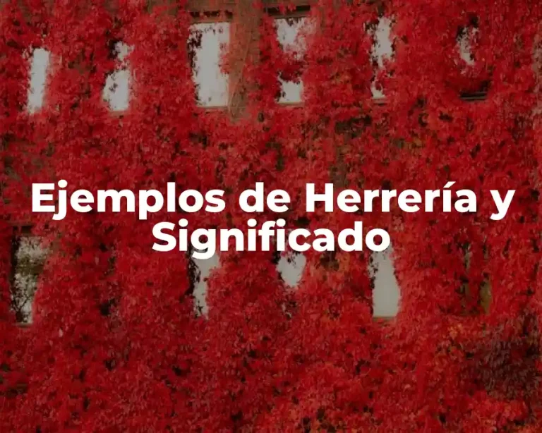 Ejemplos de Herrería y Significado