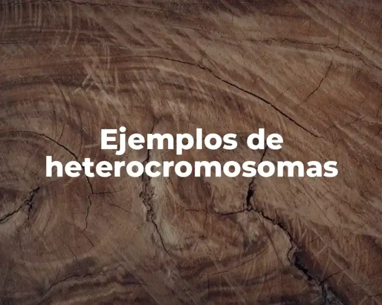 Ejemplos de heterocromosomas