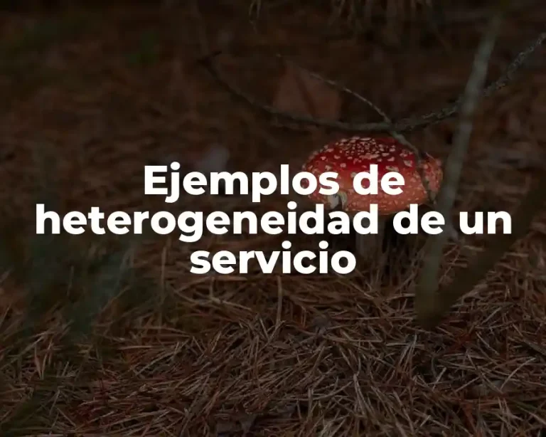 Ejemplos de heterogeneidad de un servicio
