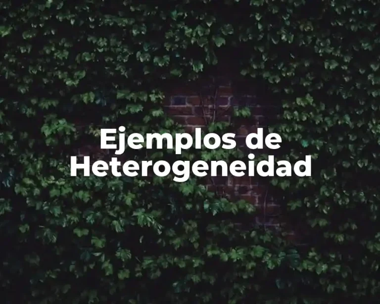 Ejemplos de Heterogeneidad