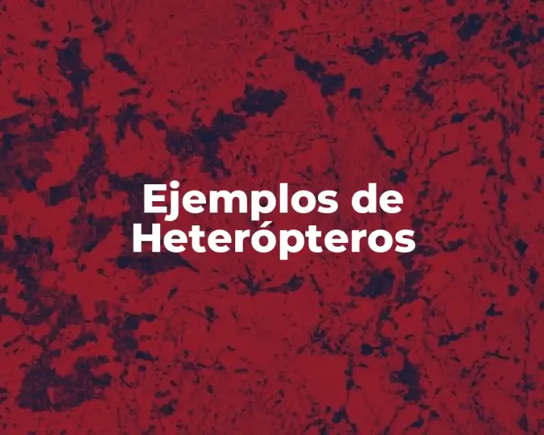 Ejemplos de Heterópteros