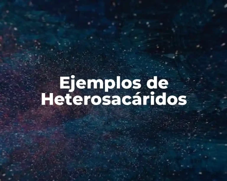 Ejemplos de Heterosacáridos