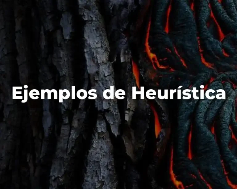 Ejemplos de Heurística