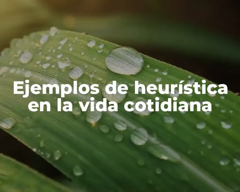 Ejemplos de heurística en la vida cotidiana