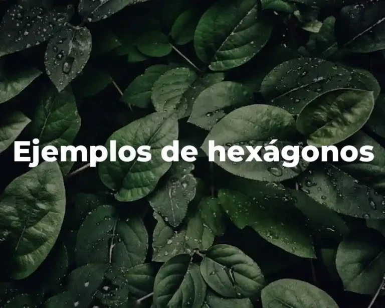 Ejemplos de hexágonos