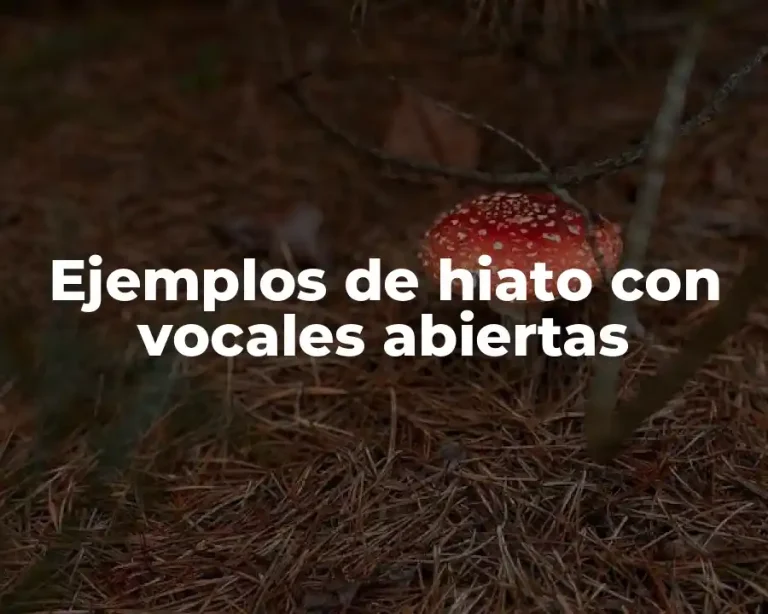 Ejemplos de hiato con vocales abiertas