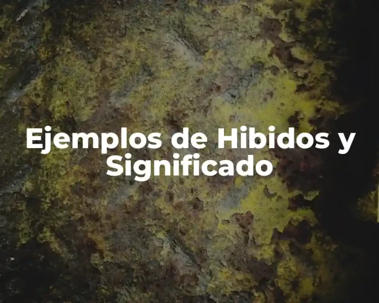 Ejemplos de Hibidos y Significado