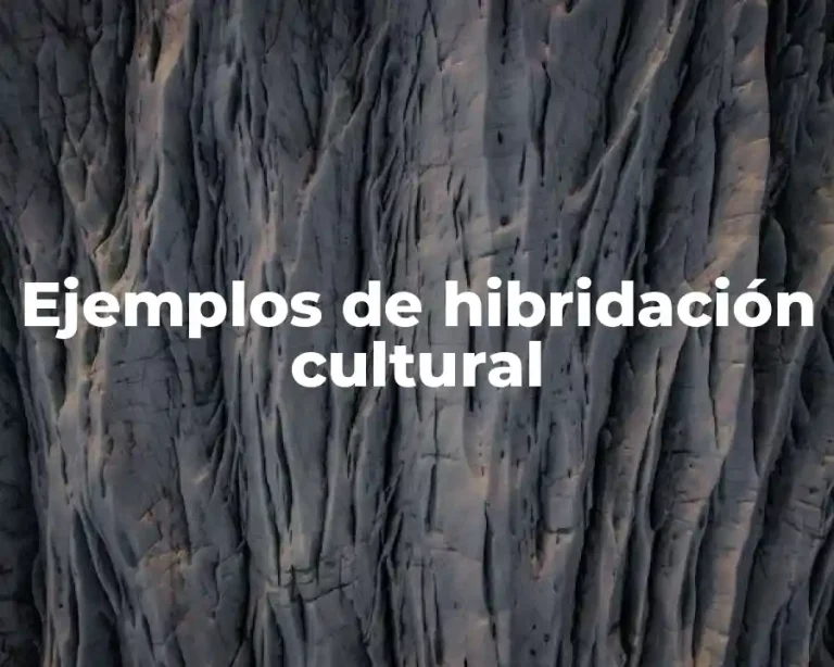 Ejemplos de hibridación cultural