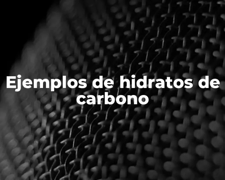 Ejemplos de hidratos de carbono