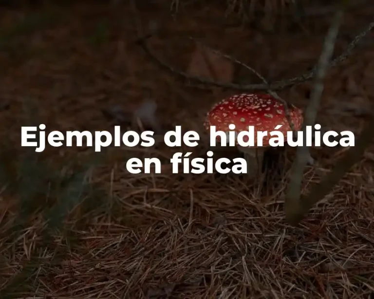 Ejemplos de hidráulica en física