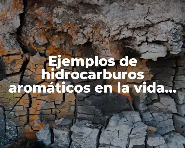 Ejemplos de hidrocarburos aromáticos en la vida cotidiana