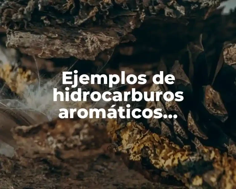 Ejemplos de hidrocarburos aromáticos monosustituidos
