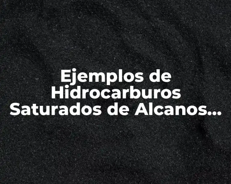 Ejemplos de Hidrocarburos Saturados de Alcanos con Cadena Ramificada