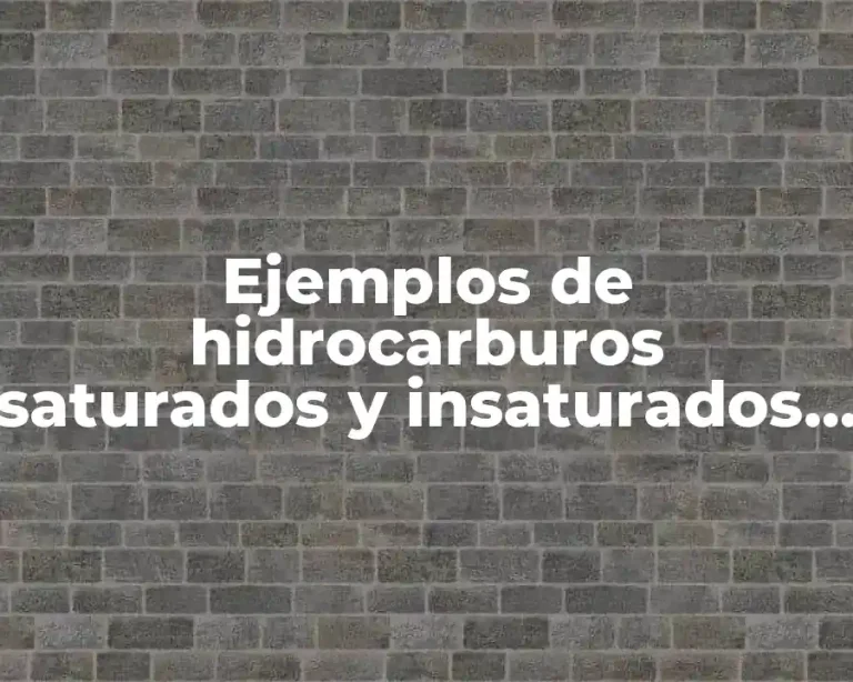 Ejemplos de hidrocarburos saturados y insaturados y Significado