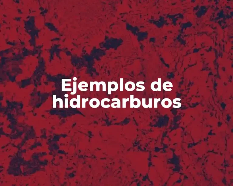 Ejemplos de hidrocarburos