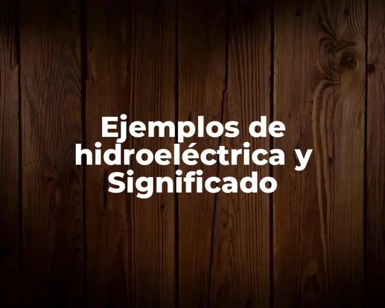 Ejemplos de hidroeléctrica y Significado