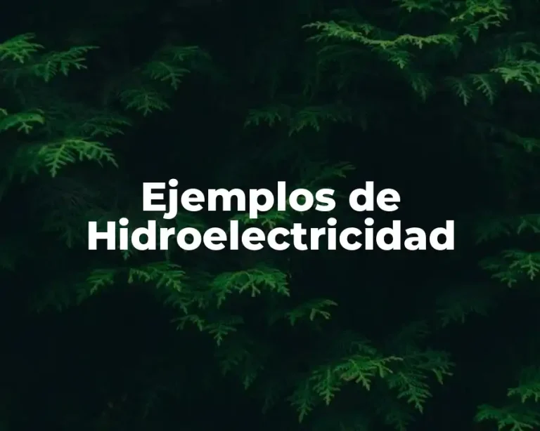 Ejemplos de Hidroelectricidad