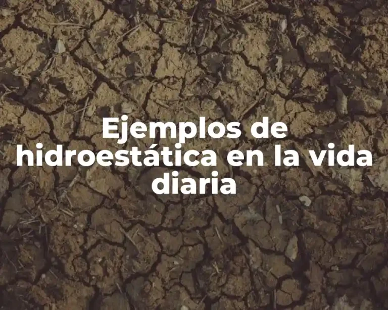 Ejemplos de hidroestática en la vida diaria