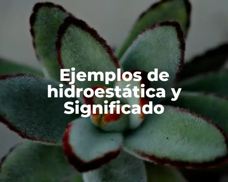 Ejemplos de hidroestática y Significado