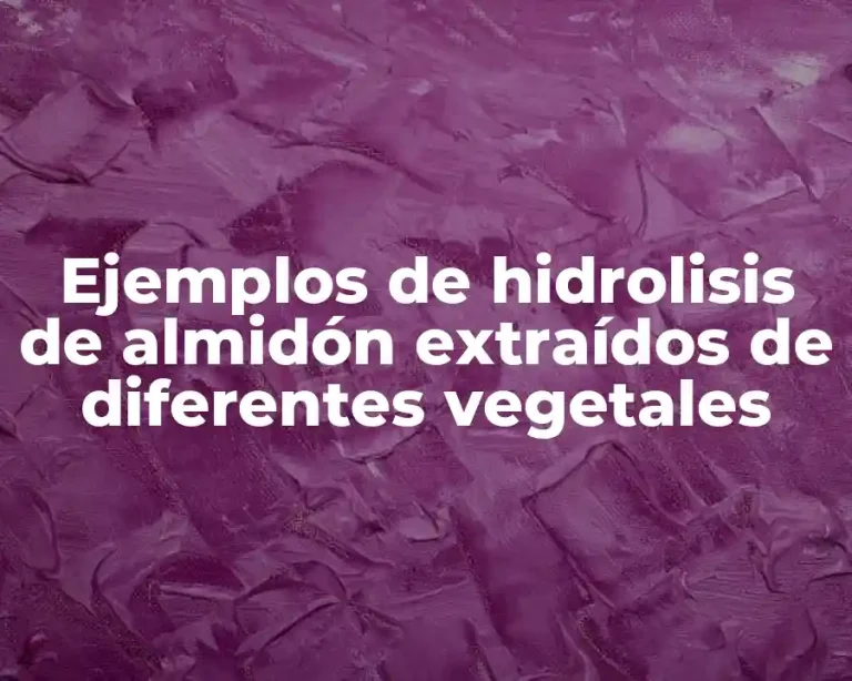 Ejemplos de hidrolisis de almidón extraídos de diferentes vegetales