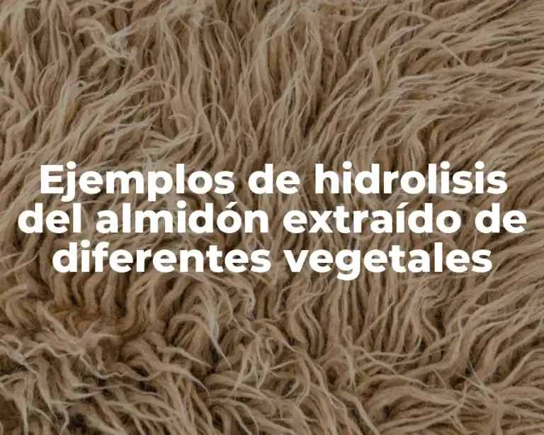 Ejemplos de hidrolisis del almidón extraído de diferentes vegetales