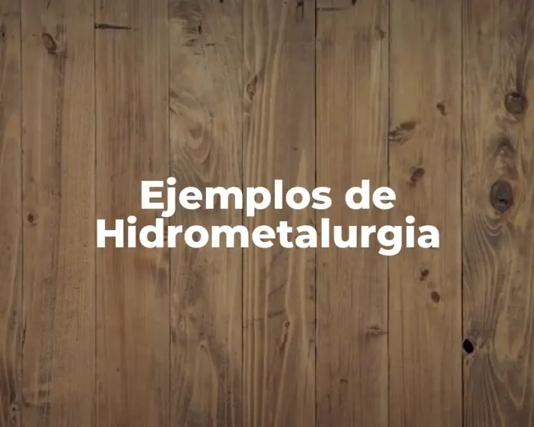 Ejemplos de Hidrometalurgia