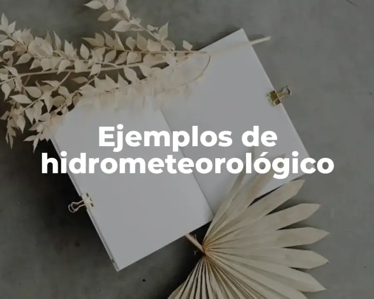 Ejemplos de hidrometeorológico