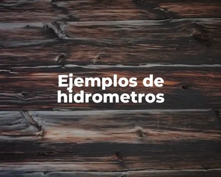 Ejemplos de hidrometros