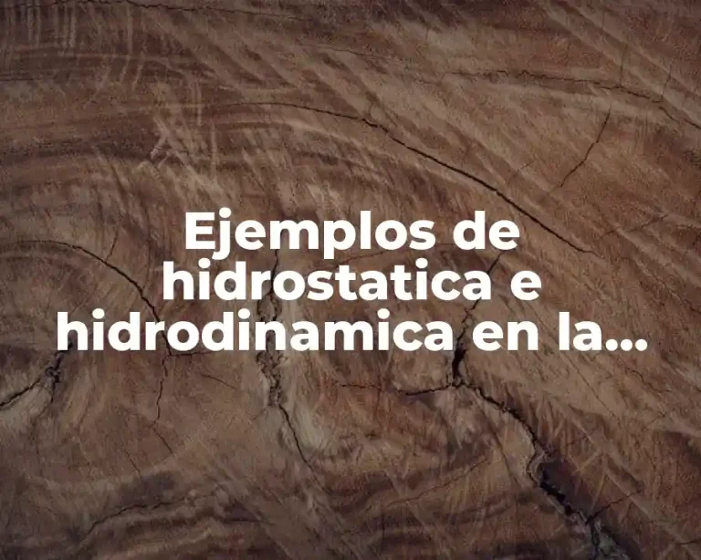 Ejemplos de hidrostatica e hidrodinamica en la vida cotidiana