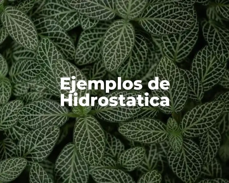 Ejemplos de Hidrostatica