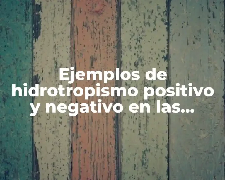 Ejemplos de hidrotropismo positivo y negativo en las plantas