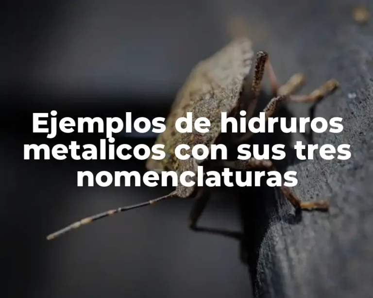 Ejemplos de hidruros metalicos con sus tres nomenclaturas