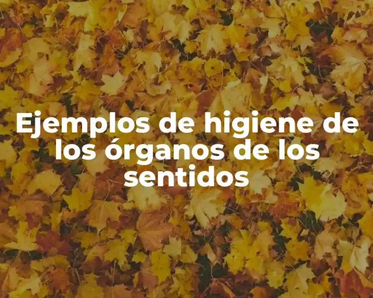 Ejemplos de higiene de los órganos de los sentidos