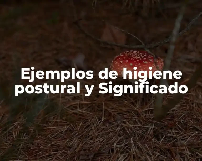 Ejemplos de higiene postural y Significado
