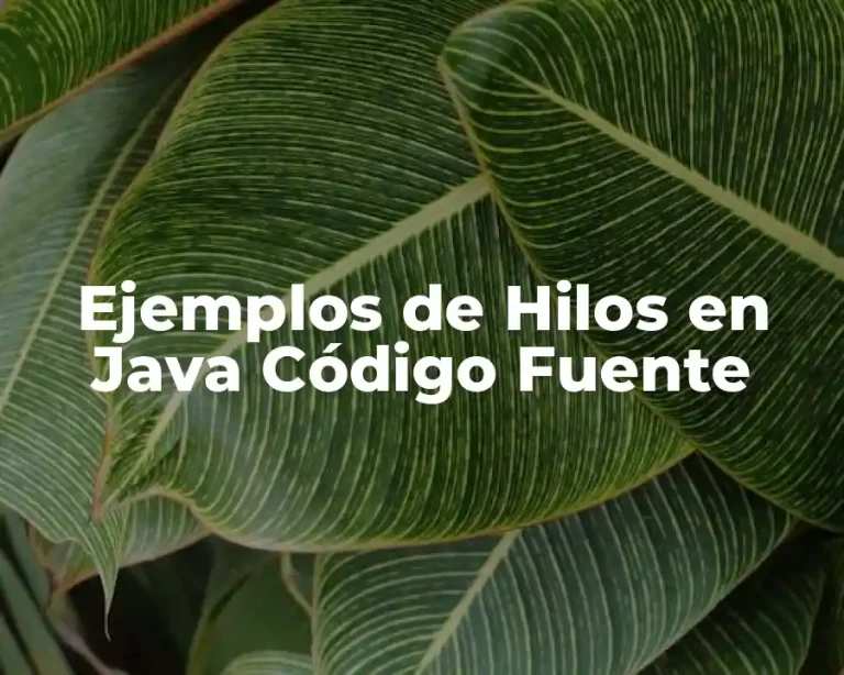 Ejemplos de Hilos en Java Código Fuente