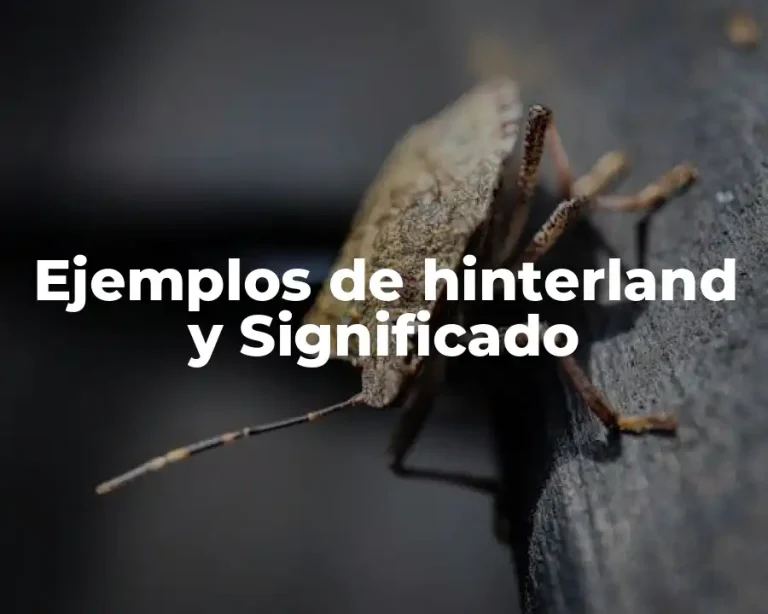 Ejemplos de hinterland y Significado