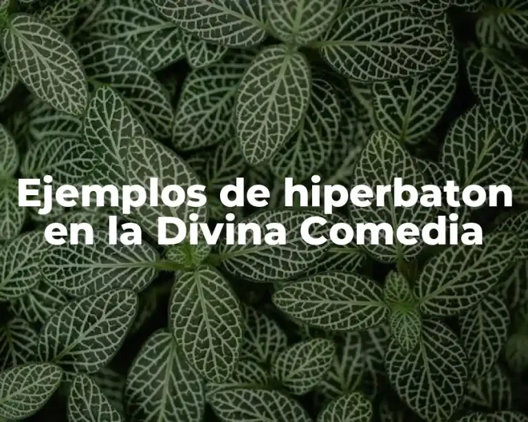 Ejemplos de hiperbaton en la Divina Comedia