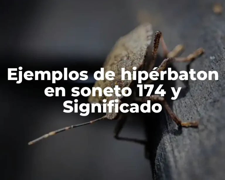 Ejemplos de hipérbaton en soneto 174 y Significado