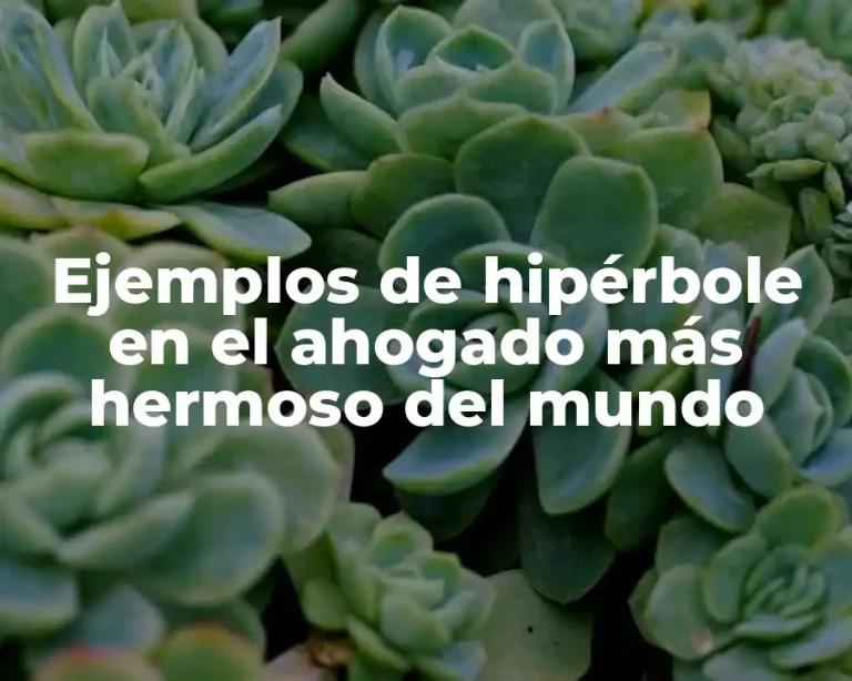 Ejemplos de hipérbole en el ahogado más hermoso del mundo